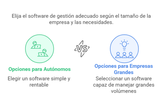 Aspectos a tener en cuenta a la hora de elegir un software de gestión.